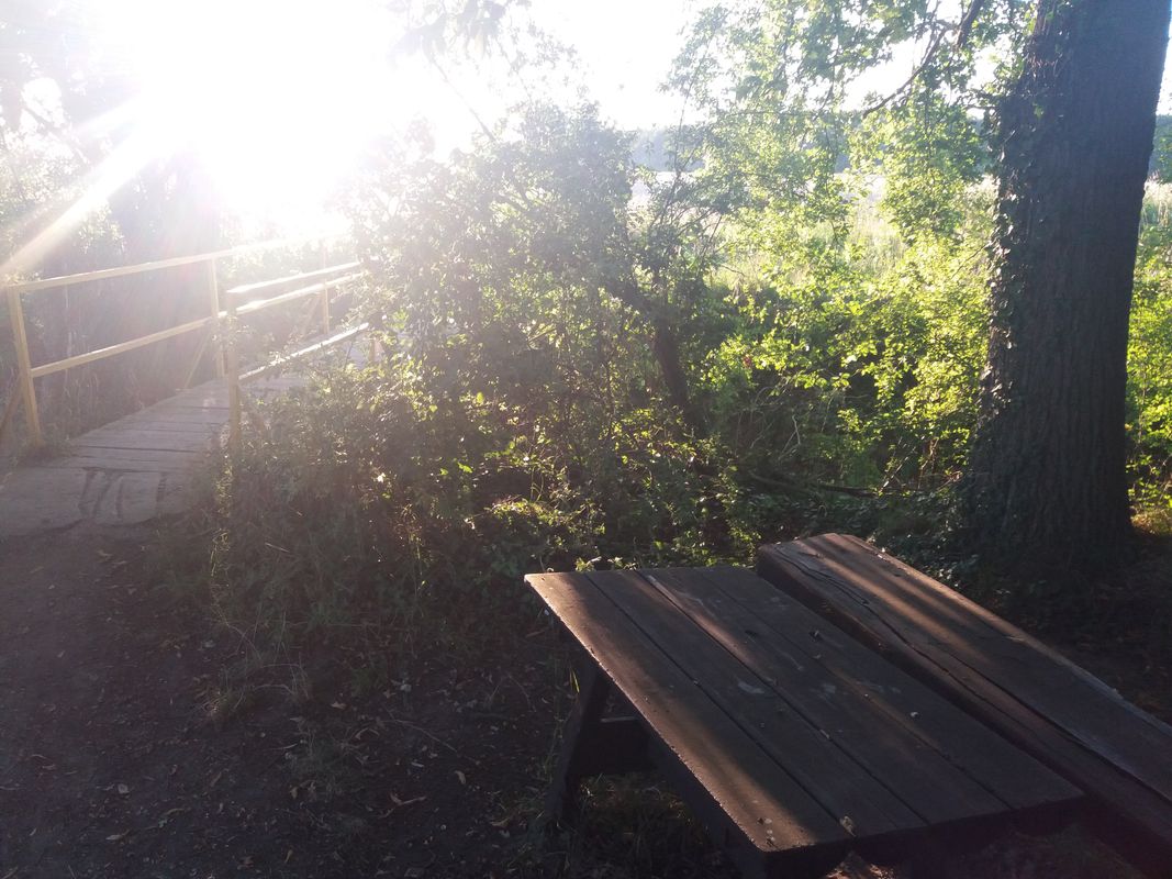 ADFC Dienstags-Abendradtour 19.08.2025 (23 π΄π»ββοΈ - H.Z.)