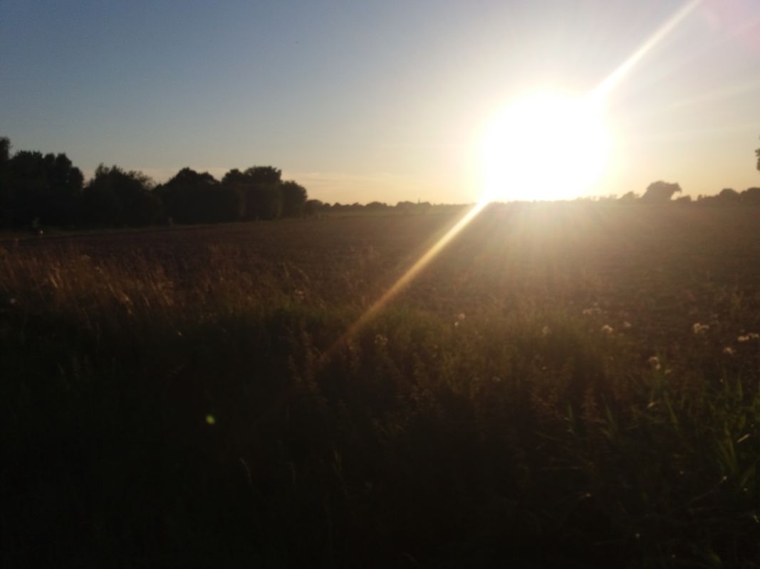 ADFC Dienstags-Abendradtour 19.08.2025 (23 π΄π»ββοΈ - H.Z.)