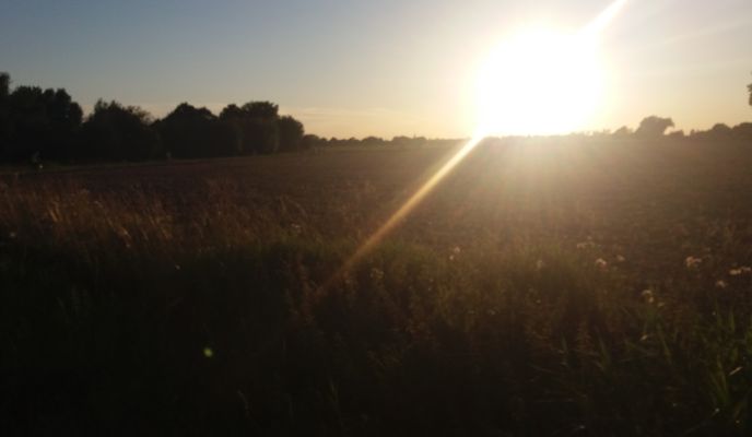 Photo 2 of the Bikemap route "ADFC Dienstags-Abendradtour 19.08.2025 (23 🚴🏻♂️ - H.Z.)" Photo 2 of the Bikemap route "ADFC Dienstags-Abendradtour 19.08.2025 (23 🚴🏻♂️ - H.Z.)"