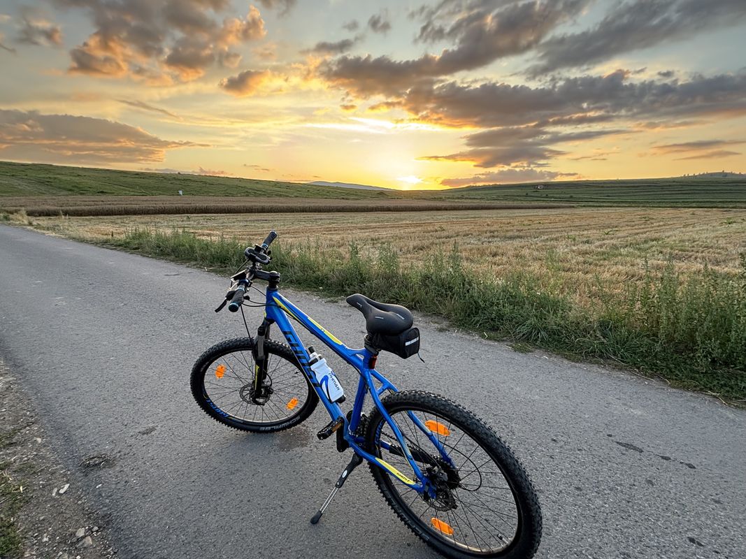 Strada Ret, Tomesti - Strada Ret, Tomesti