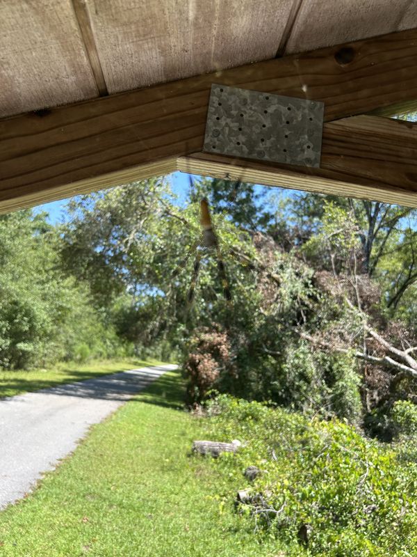 Withlacoochee State Trail, Floral City to Withlacoochee State Trail, Brooksville