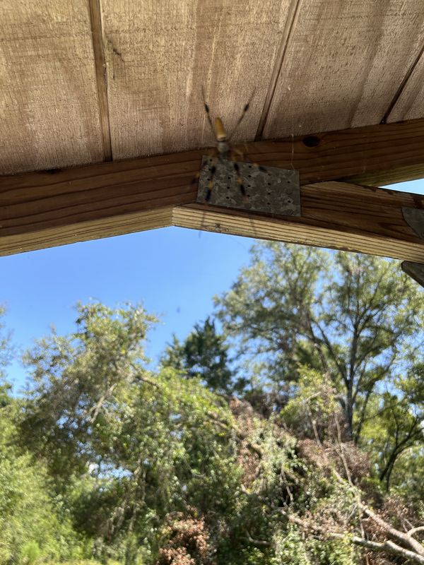 Withlacoochee State Trail, Floral City to Withlacoochee State Trail, Brooksville