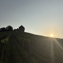 Baumschulweg, Öhringen nach Im Birkenwald, Stuttgart