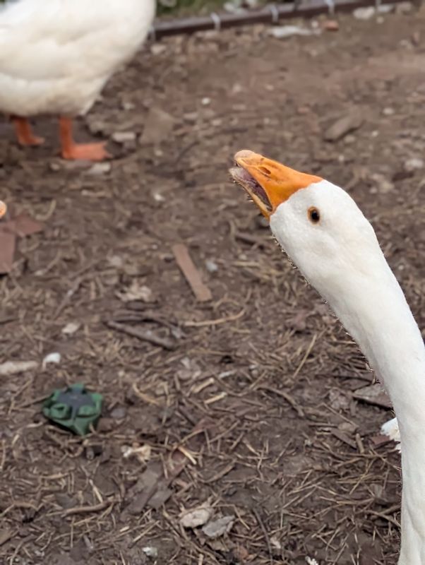 От улица Молодежная Ул до улица Советская 61м