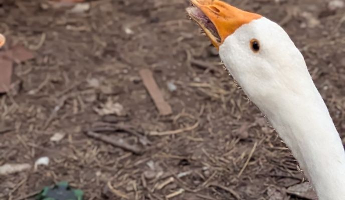 Foto 1 der Bikemap-Route "От улица Молодежная Ул до улица Советская 61м"