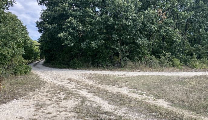 Photo 2 de l’itinéraire Bikemap « Kálvária sétány, Nagykovácsi - Liliom utca, Pilisjászfalu »