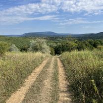 Photo 7 de l’itinéraire Bikemap « Kálvária sétány, Nagykovácsi - Liliom utca, Pilisjászfalu »