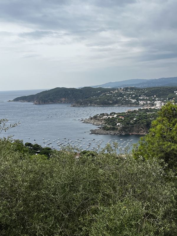 Carrer Ginjoler, Castell d'Aro, Platja d'Aro i s'Agaró à Carrer Ginjoler, Castell d'Aro, Platja d'Aro i s'Agaró