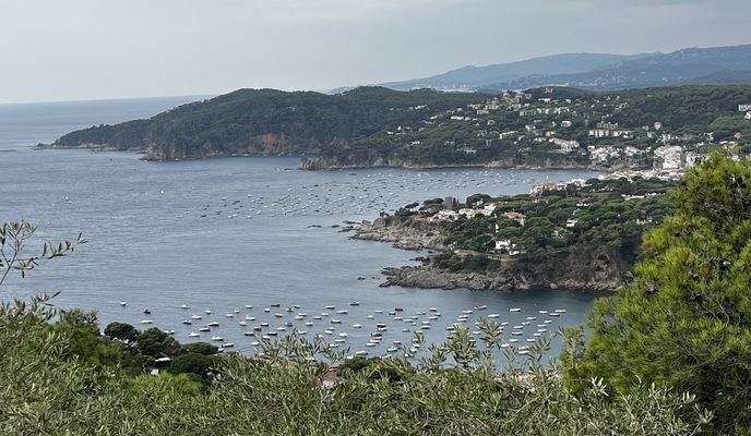 Photo 1 of the Bikemap route "Carrer Ginjoler, Castell d'Aro, Platja d'Aro i s'Agar贸 脿 Carrer Ginjoler, Castell d'Aro, Platja d'Aro i s'Agar贸" Photo 1 of the Bikemap route "Carrer Ginjoler, Castell d'Aro, Platja d'Aro i s'Agar贸 脿 Carrer Ginjoler, Castell d'Aro, Platja d'Aro i s'Agar贸"