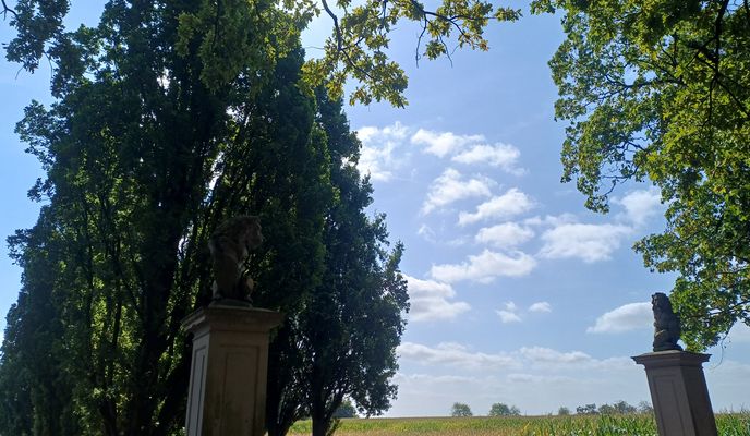 Foto 1 de la ruta de Bikemap "Rund um Langern"