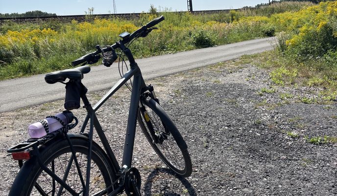 Photo 2 of the Bikemap route "Sternstraße, Lutherstadt Wittenberg nach Taubenweg, Gräfenhainichen" Photo 2 of the Bikemap route "Sternstraße, Lutherstadt Wittenberg nach Taubenweg, Gräfenhainichen"