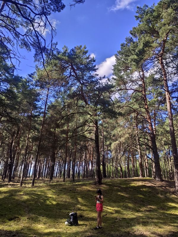 De Straße Ohne Straßennamen a Koblenzer Straße