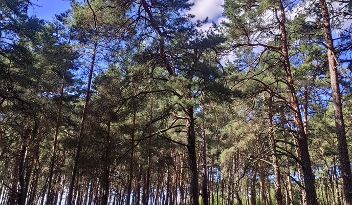 Photo 1 de l’itinéraire Bikemap « De Straße Ohne Straßennamen a Koblenzer Straße »