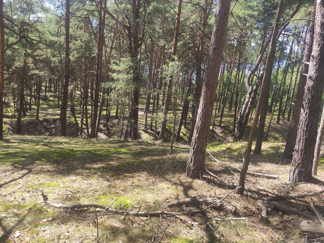 De Straße Ohne Straßennamen a Koblenzer Straße