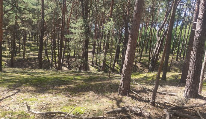 Photo 2 de l’itinéraire Bikemap « De Straße Ohne Straßennamen a Koblenzer Straße »