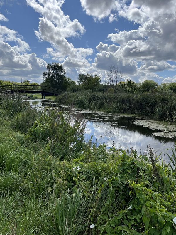 Graal-Müritz nach Strandstraße, Graal-Müritz