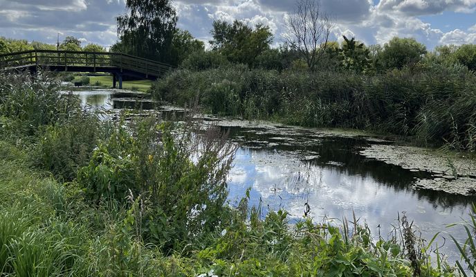 Foto 2 der Bikemap-Route "Graal-Müritz nach Strandstraße, Graal-Müritz"