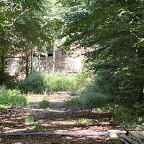 Foto 8 der Bikemap-Route "Graal-Müritz nach Strandstraße, Graal-Müritz"