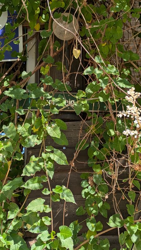 Alexanderstraße nach Börnersberg