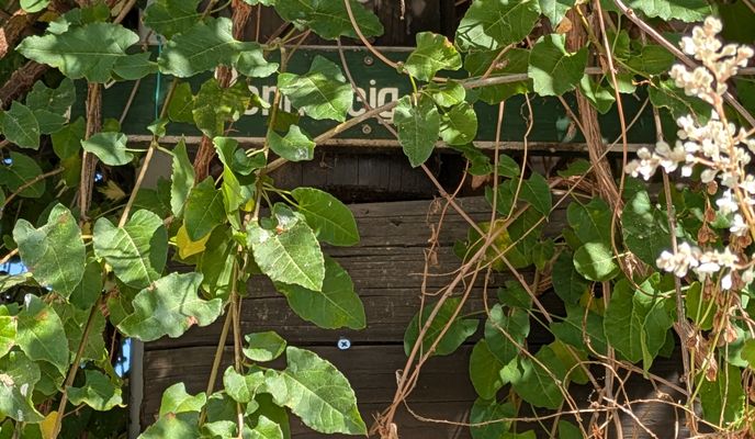 Photo 2 de l’itinéraire Bikemap « Alexanderstraße nach Börnersberg » Photo 2 de l’itinéraire Bikemap « Alexanderstraße nach Börnersberg »