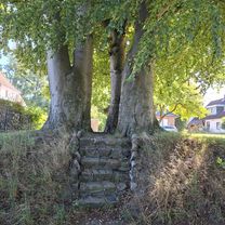 Rögenkamp nach Rögenkamp