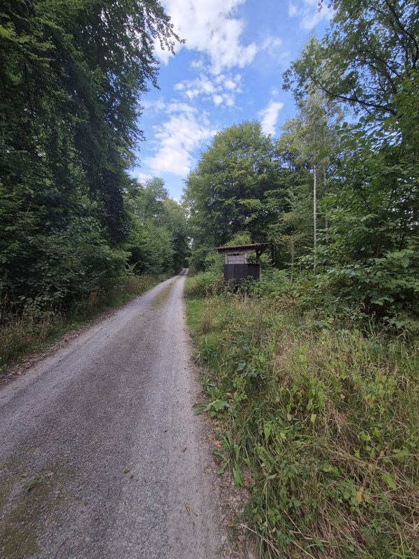 20.08.2025 Einsiedel