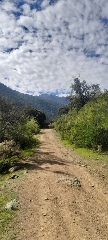 gros/camino los maquis/antenas/gros