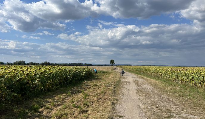 Photo 2 of the Bikemap route "20.8.Dka-Peklo-Babic.U-Josefov s Anne"