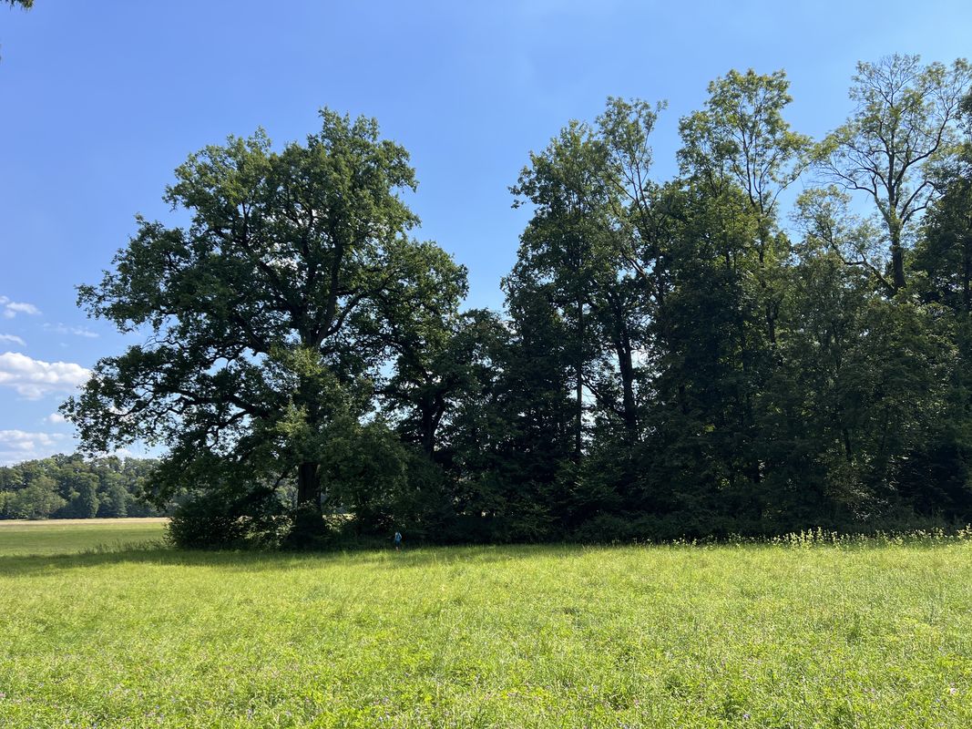 20.8.Dka-Peklo-Babic.U-Josefov s Anne