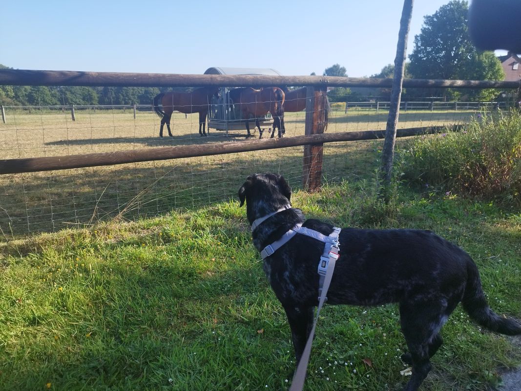 Josefstraße nach Josefstraße