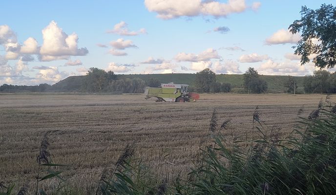 Zdjęcie 2 trasy Bikemap „Do hałdy”