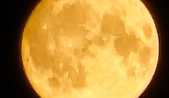 Foto 1 del percorso Bikemap "Dünenweg 2A nach Dünenweg 2A"