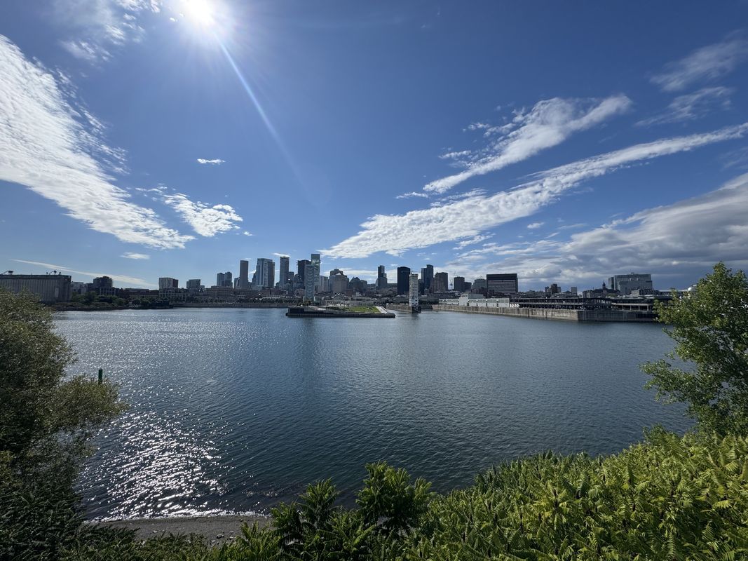 Rue Stayner, Westmount to Boul Dorchester O, Westmount