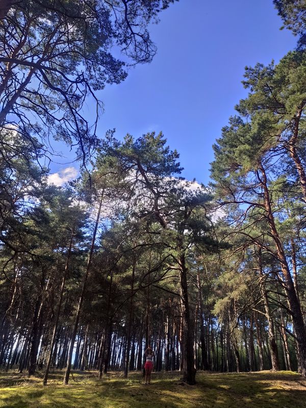 De Sportpromenade a Marchlewskistraße