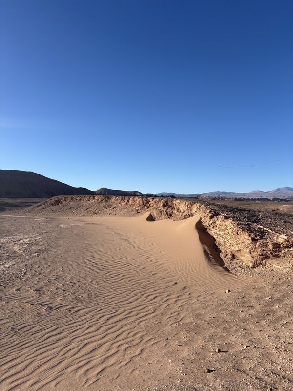 Los Tamarugos, San Pedro de Atacama a Domingo Atienza, San Pedro de Atacama