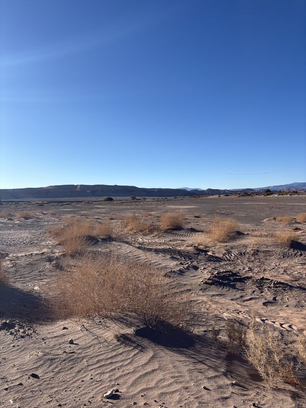Los Tamarugos, San Pedro de Atacama a Domingo Atienza, San Pedro de Atacama