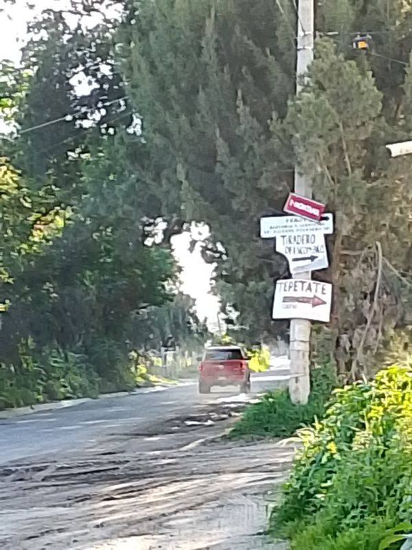 Paseo lento