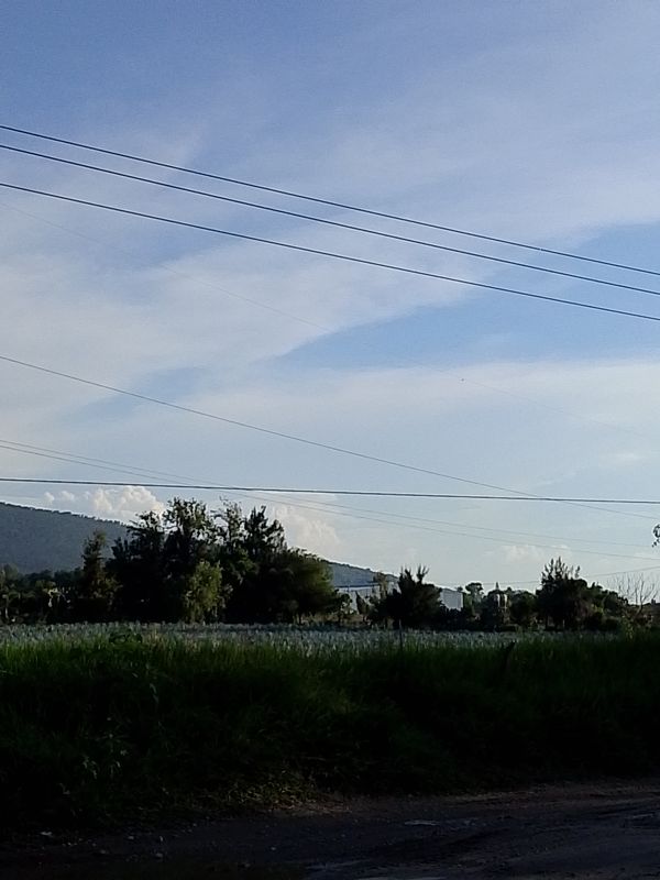 Paseo lento