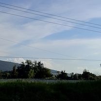 Paseo lento