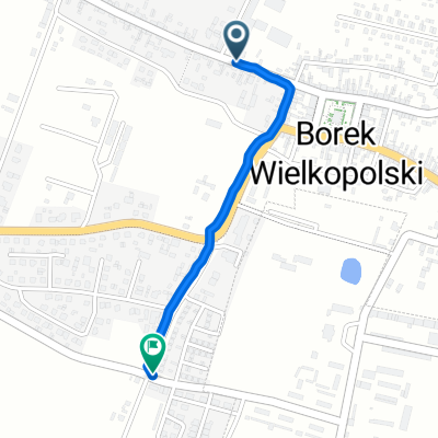 A Asnyka, Borek Wielkopolski do Karolew, Borek Wielkopolski