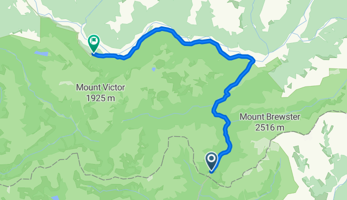 Stage 5