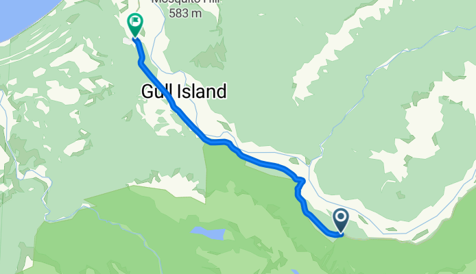 Stage 6