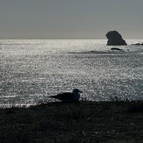 Photo 7 of the Bikemap route "Lighthouse Way, Crescent City to Lighthouse Way, Crescent City"