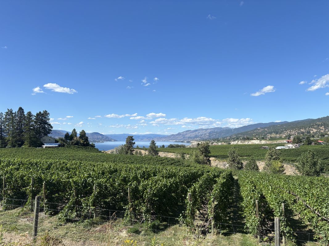 Central Okanagan East to Crown Crest Pl, West Kelowna