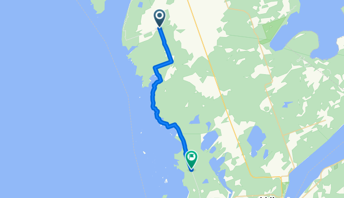 Stage 5
