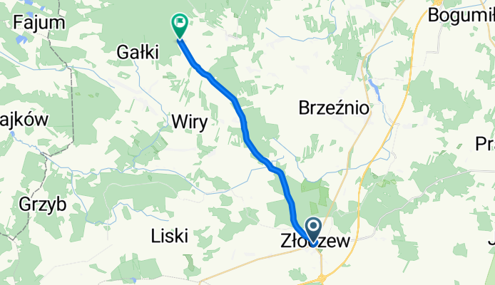 Lututowska, Złoczew do Bukowiec, Brąszewice