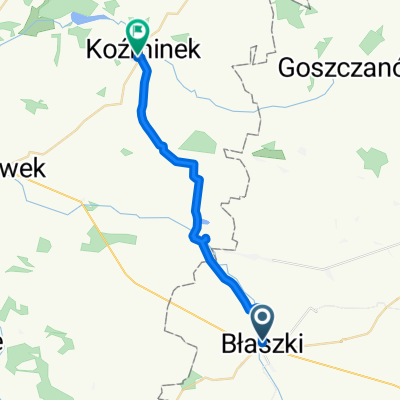 pl Sulwińskiego, Błaszki do Nakwasińska, Koźminek