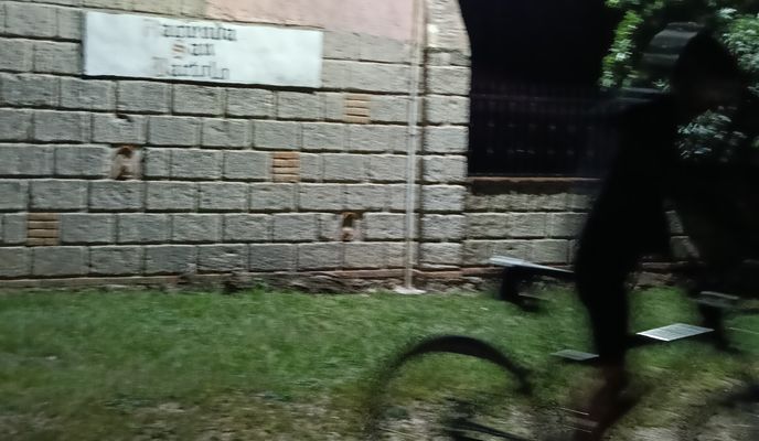 Foto 1 der Bikemap-Route "De Roble a Melchor Ocampo"