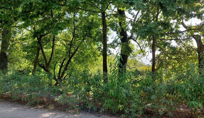 Photo 2 of the Bikemap route "Pruszk贸w powr贸t" Photo 2 of the Bikemap route "Pruszk贸w powr贸t"