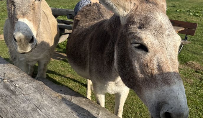 Foto 2 del percorso Bikemap "Drumul Familial, Săcele до Săcele"
